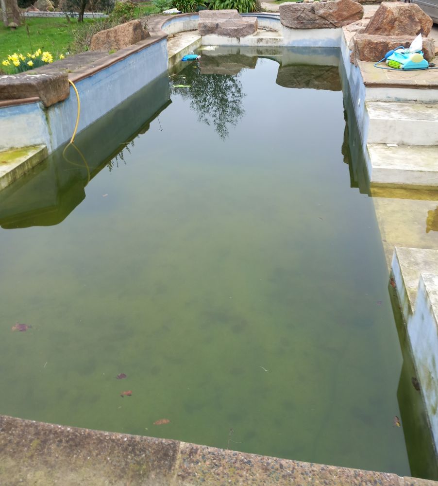 makeover of old swimming pool